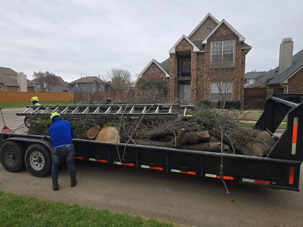 Expert Lot Clearing with proper safety equipment in Minocqua